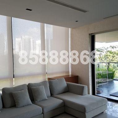 Reignwood Hamilton Scotts (D9), Apartment #168540352